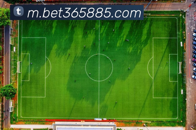 bet365中国官网平台生态图